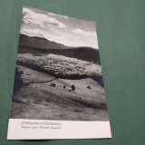 Cumpara ieftin CARTE POSTALA CIRCULATA CAMPULUNG-MOLDOVENESC-VEDERE SPRE PIETRELE DOAMNEI
