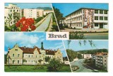 CPIB 18719 CARTE POSTALA - BRAD, MOZAIC