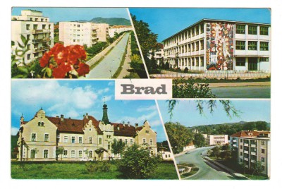 CPIB 18719 CARTE POSTALA - BRAD, MOZAIC foto