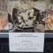 Ion Gheorghiu, invitație la vernisajul expoziției, 30 martie 1979, orele 18, 152