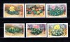 M1 TX3 2 - 1997 - Cactusi, Flora, Nestampilat