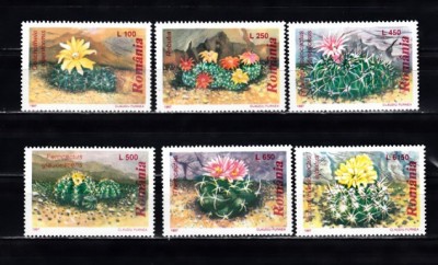 M1 TX3 2 - 1997 - Cactusi foto