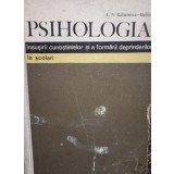 E. N. Kabanova-Meller - Psihologia insusirii cunostintelor si a formarii deprinderilor la scolari