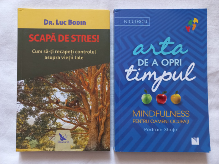 SCAPA DE STRES!- LUC BODIN + ARTA DE A OPRI TIMPUL. MINDFULMESS PENTRU OAMENI...