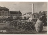 CPIB 21366 CARTE POSTALA - BAIA MARE. PIATA LIBERTATII, RPR, 1959, Circulata, Fotografie