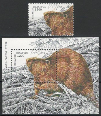 Belarus 1996 Mi 122 bl 6 MNH - Conservarea naturii: Castor, fauna foto