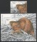 Foto  - 1