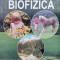 Biofizica - Lmu Enache ,560649