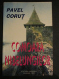 Comoara nibelungilor