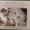 CD DIGIPACK: MASS OF ST. FRANCIS OF ASSISI: LET ME BRING LOVE, A MASS COMPOSED, ARRANGED &amp; CONDUCTED BY PHILIP GREEN (IRELAND, 2009)