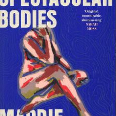 Maps of our spectacular bodies - Maddie Mortimer