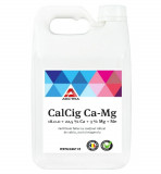 Ingrasamant Calcig Ca-Mg 5 l, Aectra
