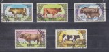 A12 S4 9 - Timbre foarte vechi - Mongolia - rase de vaci, Fauna, Stampilat