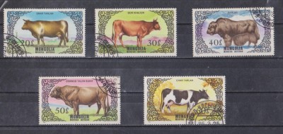 A12 S4 9 - Timbre foarte vechi - Mongolia - rase de vaci foto