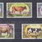 A12 S4 9 - Timbre foarte vechi - Mongolia - rase de vaci