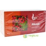 Ceai Macese 20dz