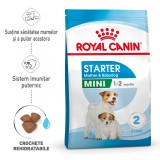 Cumpara ieftin Royal Canin Mini Starter Mother Babydog, mama si puiul, hrana uscata caine, 4 kg