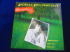 Andreas Vollenweider - Behind The Gardcens, Behind The Wall_LP _Germania(1981), VINIL