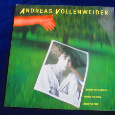 Andreas Vollenweider - Behind The Gardcens, Behind The Wall_LP _Germania(1981)