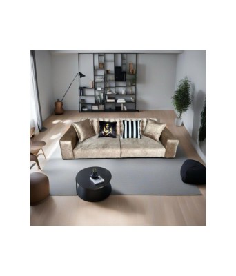 Canapea COD 17 cu spatar rabatabil ( BEJ ) foto