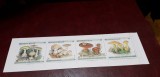 Belgia carnet flora, Nestampilat