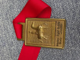 Medalie maraton din bronz, Europa