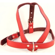 Ham piele reglabil 70 &ndash; 80 cm Nr 3 rosu