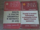 PRINCIPII SI STRUCTURI FUNDAMENTALE IN MATEMATICA DE LICEU ALGEBRA SI ANALIZA MATEMATICA VOL.1-2-RODICA TRA-349173