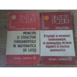 PRINCIPII SI STRUCTURI FUNDAMENTALE IN MATEMATICA DE LICEU ALGEBRA SI ANALIZA MATEMATICA VOL.1-2-RODICA TRA-349173