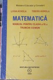 MATEMATICA MANUAL PENTRU CLASA A IX-A TRUNCHI COMUN-LIANA AGNOLA, TIBERIU AGNOLA-257944