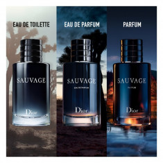 Sauvage Dior 100ml Parfum Tester foto