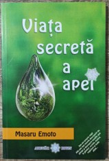 Viata secreta a apei - Masaru Emoto foto