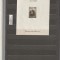 ROMANIA 1932 LP 101 EFIRO COLITA NEDANTELATA NESTAMPILATA