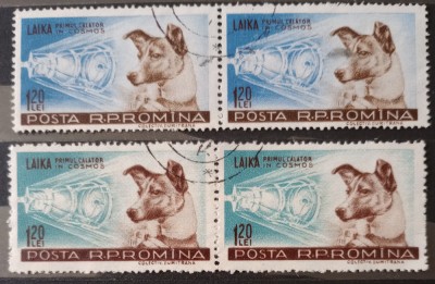 ROMANIA 1957, LP 447 Cățelușa Laika primul călător &amp;icirc;n cosmos pereche stampilat foto