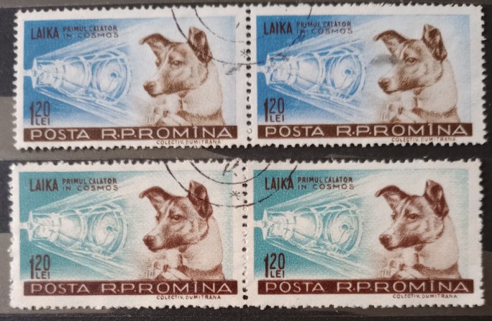 ROMANIA 1957, LP 447 Cățelușa Laika primul călător &icirc;n cosmos pereche stampilat