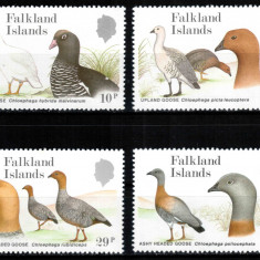 Falkland 1988, Mi #480-483**, fauna, pasari, gaste, MNH! Cota 24 €!