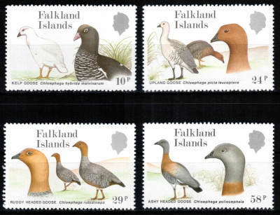 Falkland 1988, Mi #480-483**, fauna, pasari, gaste, MNH! Cota 24 &amp;euro;! foto