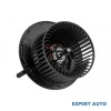 Motoras incalzitor Mercedes B-Class (2005-2011) [W245] #1