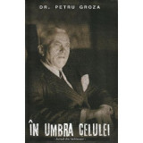 In umbra celulei - Dr. Petru Groza