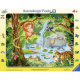 Puzzle Jungla Tip Rama, 24 Piese, Ravensburger