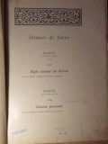 BRONZES DE BARYE. BRONZE PATINE MEDAILLE. EPREUVE ANCIENNE (ALBUM ALB-NEGRU)-(ANTOINE-LOUIS) 1795-1875