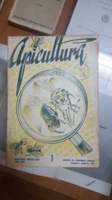 Revista Apicultura, Nr. 1, Anul XXVI, Ianuarie-martie 1951 028 foto