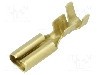 Terminal tip plat, pentru surub {{Orificiu pentru &amp;#351;urub}}, BM GROUP - BM 02390