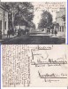 Ploiesti (Prahova)- Calea Campinei, Circulata, Printata