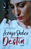 Zeruya Shalev - Destin
