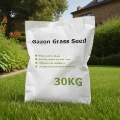 Semințe pentru iarbă de gazon, 30 kg
