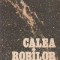 Calea Robilor