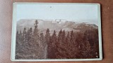 Fotografie pe carton, Liebenburg Germania, perioada interbelica