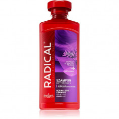 Farmona Radical Oily Hair sampon pentru normalizare pentru par gras 400 ml