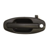 Maner usa HYUNDAI SANTA FE I (SM) (2000 - 2006) BLIC 6010-20-021401P
